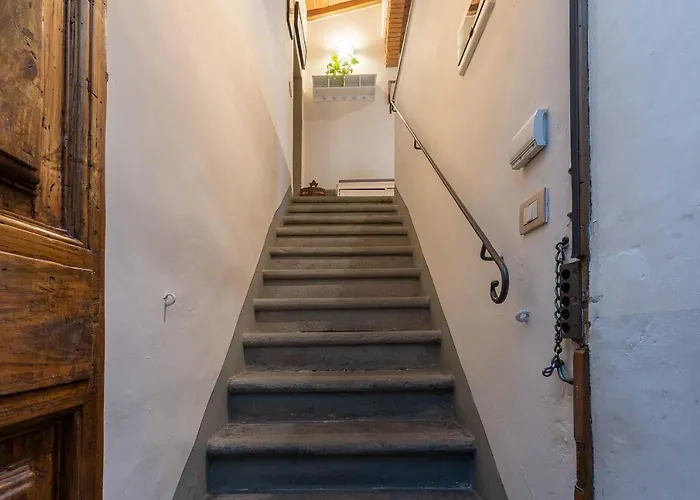 San Zanobi Nest In Central Florence